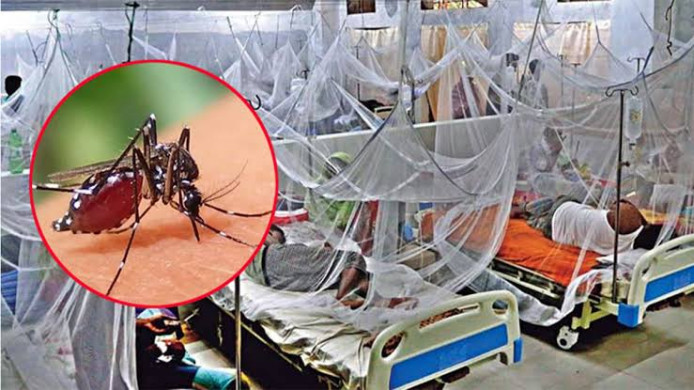 ডেঙ্গু পরিস্থিতি উদ্বেগজনক, তবে মৃত্যুহীন দিন ধরে রেখেছে