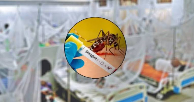 ডেঙ্গু জ্বরে বাড়ছে আক্রান্ত, সচেতনতাই এখন প্রধান প্রতিরোধ