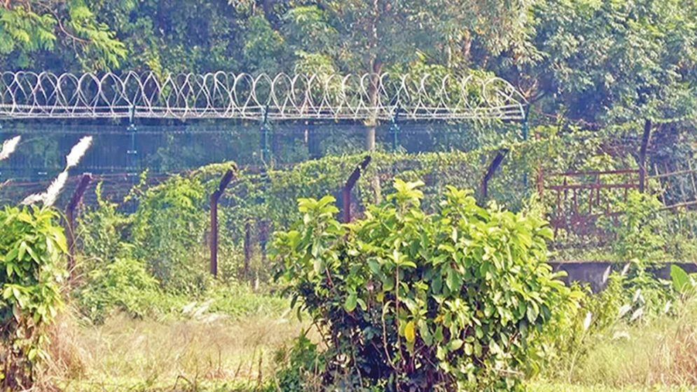 মহেশপুর সীমান্তে ভারতে অনুপ্রবেশের চেষ্টায় ৮ বাংলাদেশি আটক