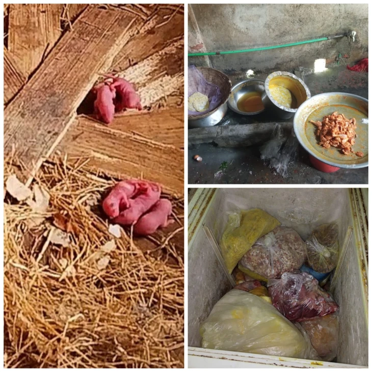 গবি ক্যান্টিনে অভিযান: ইঁদুর ও বাসি খাবারে শিক্ষার্থীদের স্বাস্থ্যঝুঁকি