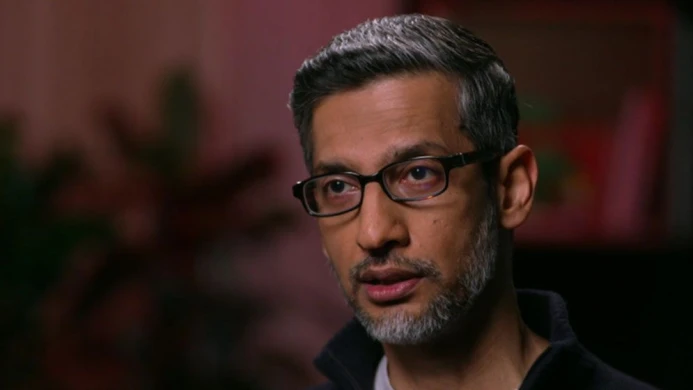 এআইকে চোখ বন্ধ করে বিশ্বাস নয়: সুন্দর পিচাই