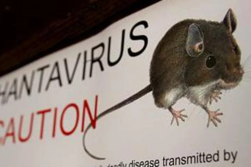 What is hantavirus, disease that killed Gene Hackman's wife