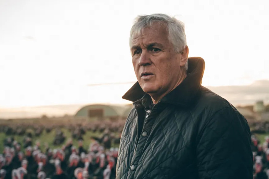 Farmers in bird flu 'panic' call for UK vaccine plan