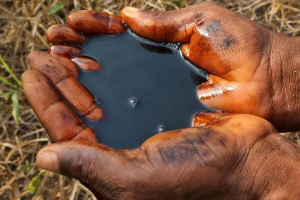 Oil clean-up 'scam' warnings ignored by Shell, whistle-blower