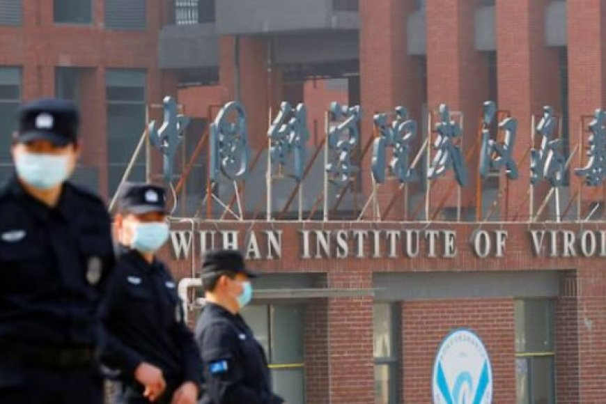 Chinese scientists have discovered the existence of a new type of coronavirus in the body of the bats