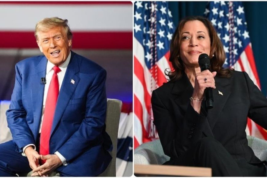 US presidential election; Trump ahead in preliminary results