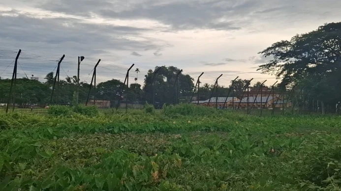 মৌলভীবাজারের সীমান্তে বিএসএফের গুলিতে বাংলাদেশি নিহত