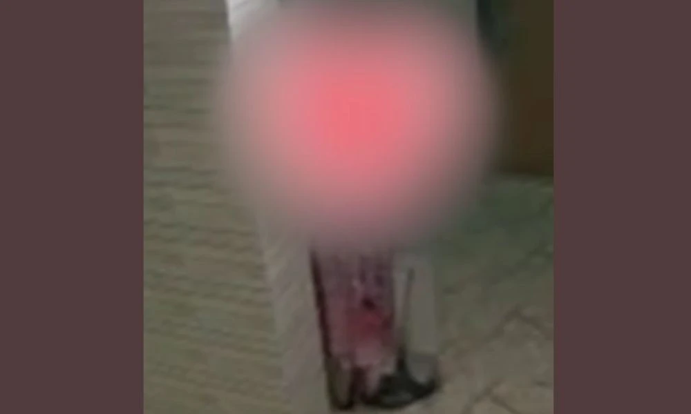 এমপি গাজী নজরুলের আরও এক ভিডিও ভাইরাল, সঙ্গে তরুণী