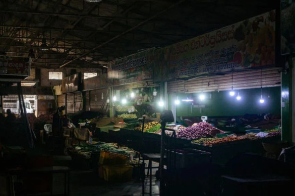 Minister blames monkey for Sri Lanka nationwide power cut