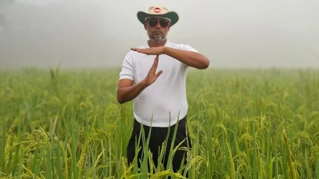 মনোনয়ন না পেয়ে ধানক্ষেতে অভিনব প্রতিবাদ করলেন বিএনপি নেতা