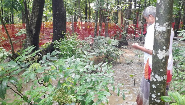 রামগতিতে সাবেক কর্মকর্তার সম্পত্তি দখলে আপন ভাই-বোনের হানা