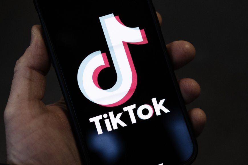 TikTok investigated over use of children's data